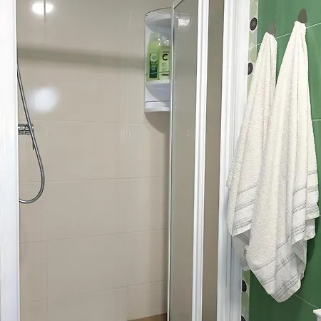 Asturias Especial 公寓 阿里翁达斯